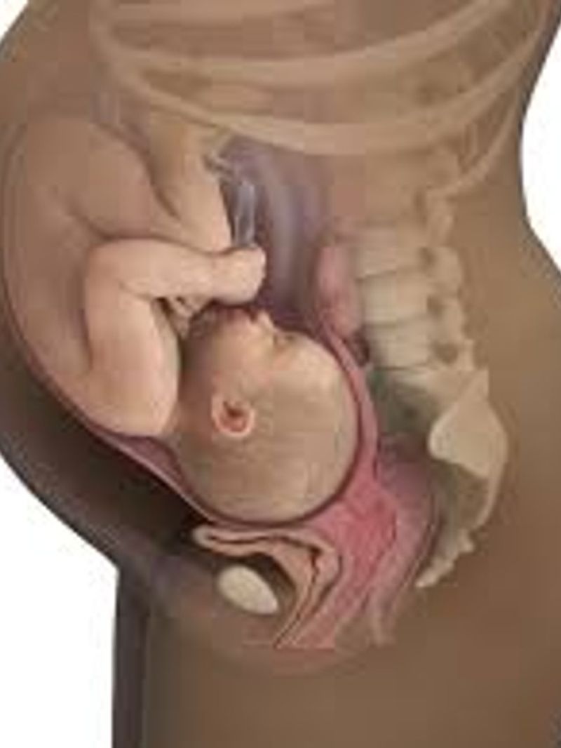pregnancy at 40,