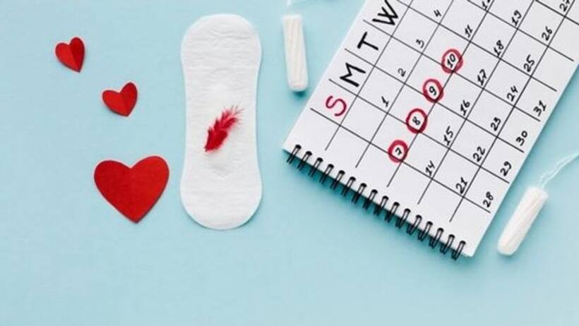 Irregular Period की समस्या को दूर कर सकते हैं यह 5 फूड, आज से शामिल करें डाइट में 