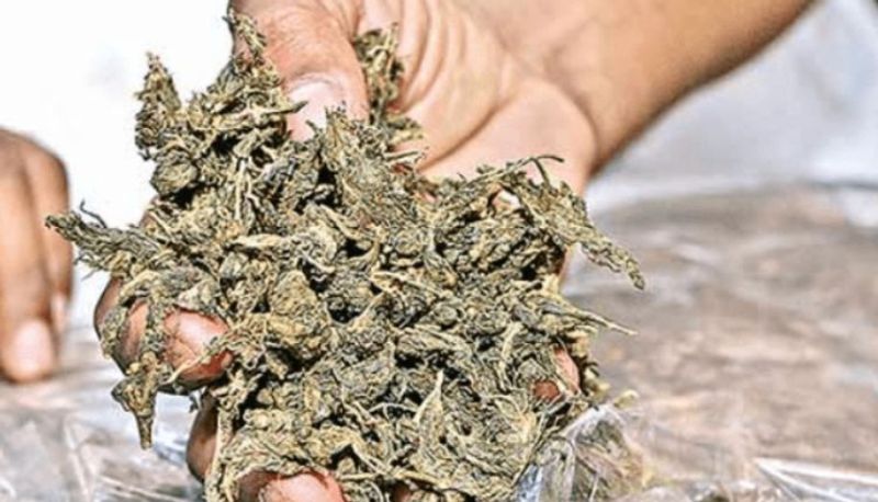 Mother caught her ganja-peddler truck driver son arrested in Chennai gow