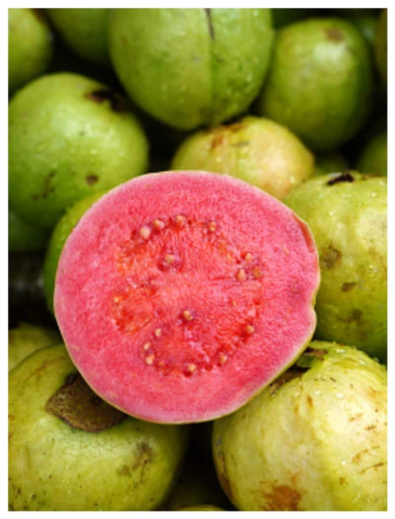 health benefits of guava fruit and leaves