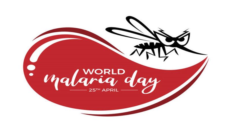 Word Malaria Day 2024: 5 differences between Malaria and Dengue; Read now ATG