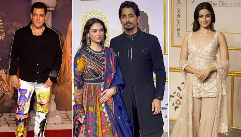 'Heeramandi' premiere- Alia Bhatt, Salman Khan, Aditi Rao Hydari; celebs display their best fashion RKK