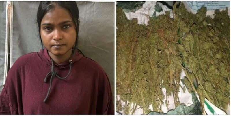 Female IT employee arrested for stashing ganja at home KAK