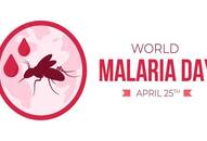 World Malaria Day 2024: Causes, symptoms, and precautions you need to know NTI