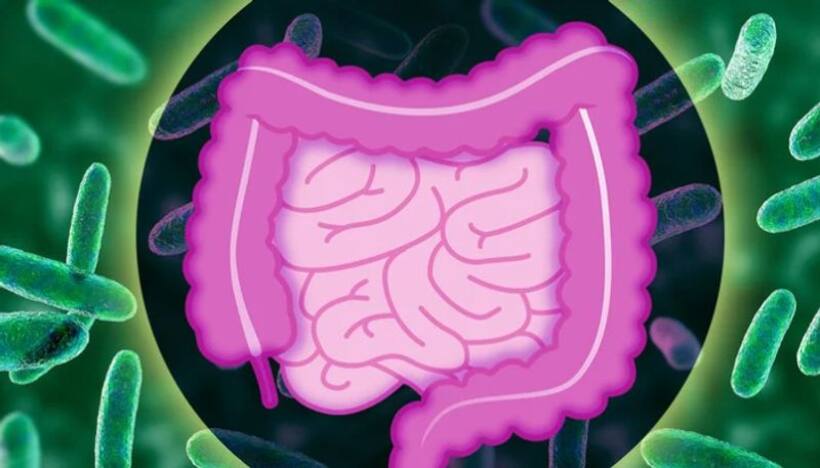 Do you have an unhealthy gut? Here are 7 common signs and tips to address them