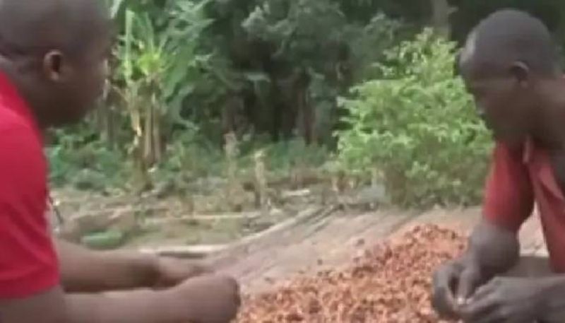 Cocoa Farmer having chocolate first time video 