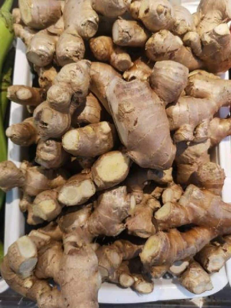 how to grow ginger in home 