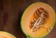 benefits of muskmelon seeds xbw