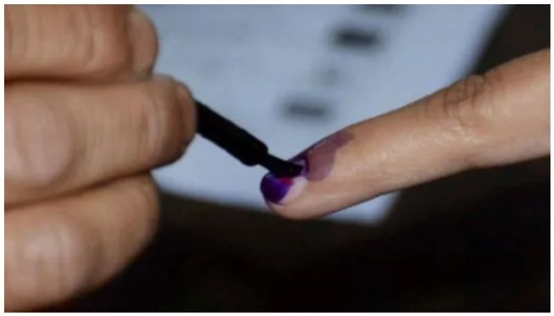 Lok Sabha elections 2024 - Phase 5: Voting in 49 constituencies across 8 states/UTs on May 20 AJR