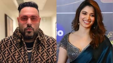 All you need to know about illegal IPL streaming case involving Tamannaah Bhatia, Badshah RTM 