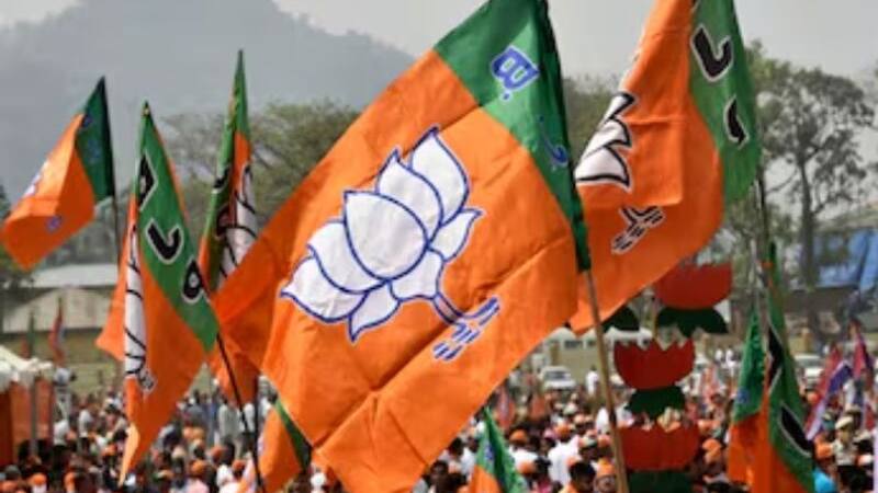 bjp flag