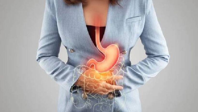 खाना पचाने में दिक्कत करता है 'IBS', गर्मियों में डाइट में जरूर खाएं ये फूड्स  
