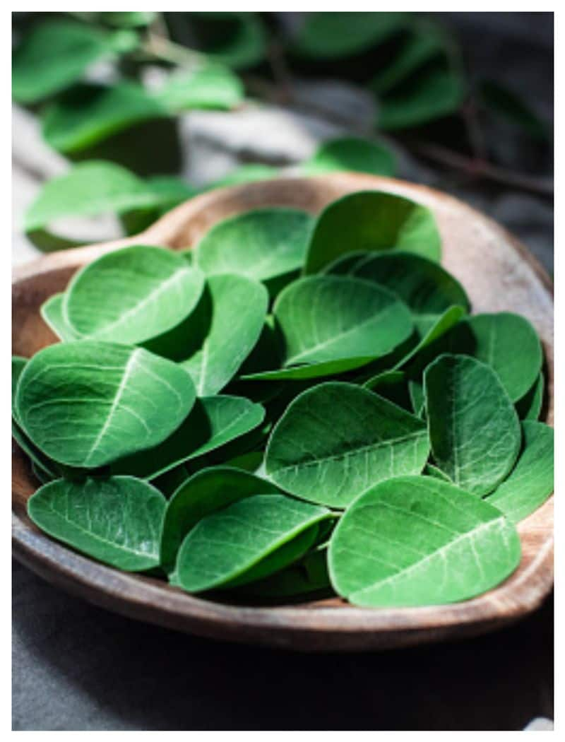 health benefits of moringa leaves 