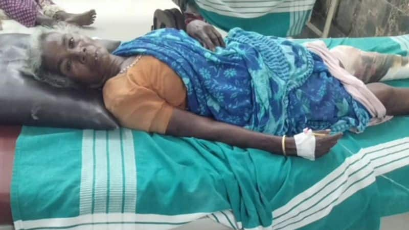 Old woman injured by crocodile bite in Jayankondam tvk