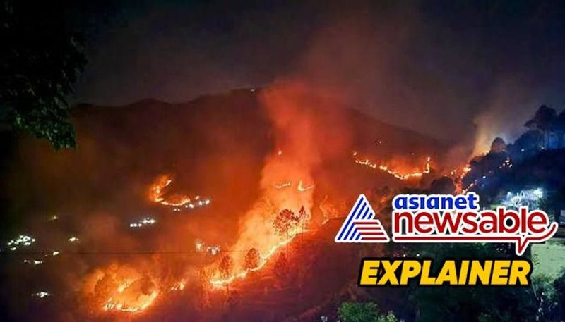 Explained What triggers Uttarakhand's forest fires