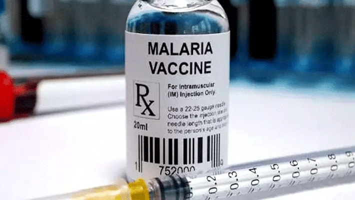 JNU scientists develop new vaccine candidate to battle malaria sgb