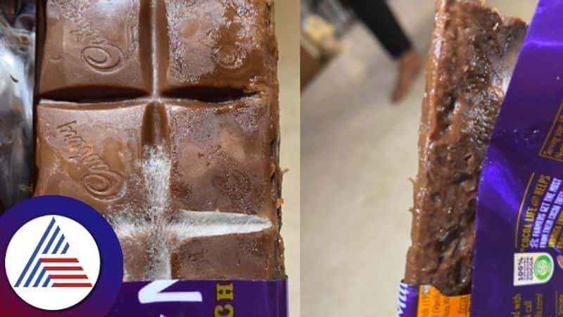 Hyderabad resident finds fungus in Cadbury Dairy Milk chocolate  skr