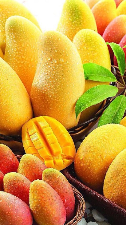 <p>फाइबर से लेकर एंटीऑक्सीडेंट युक्त आम गर्मियों में खूब खाया जाता है। विटामिन सी, विटामिन ए युक्त फल इम्यूनिटी बढ़ाकर इंफेक्शन से लड़ता है। कच्चा आम आँखों के लिए अच्छा होता है।</p>
