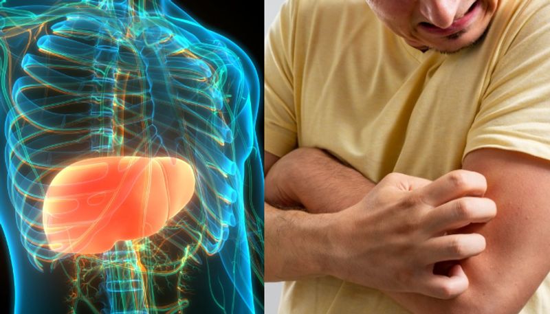 signs that your liver needs help