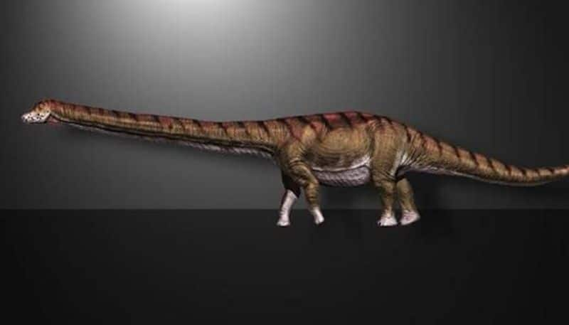 Patagotitan mayorum largest creature ever live on earth 