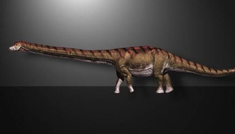 Patagotitan mayorum largest creature ever live on earth 