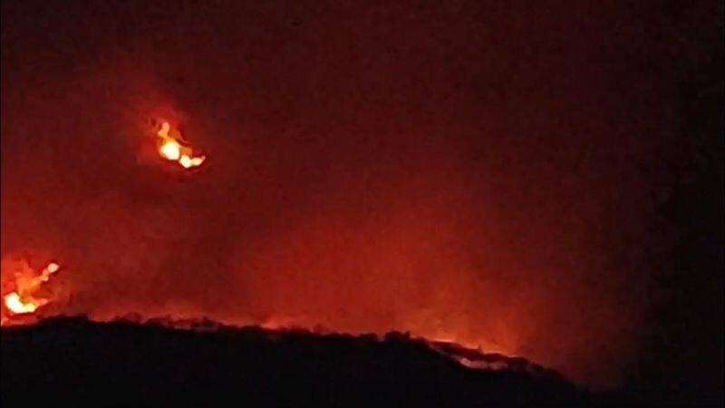 massive fire accident at mudumalai forest area at heavy heat wave vel