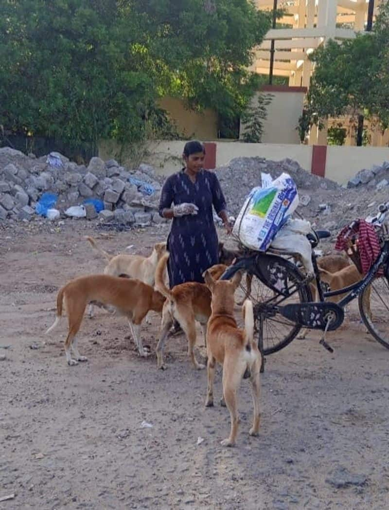 The police have warned that action will be taken if they stop feeding stray dogs KAK