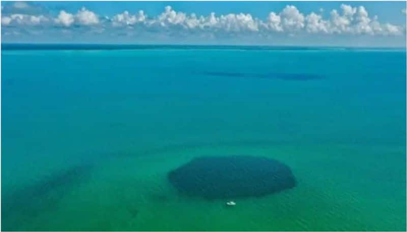 Deepest blue hole in the world discovered in Mexico 