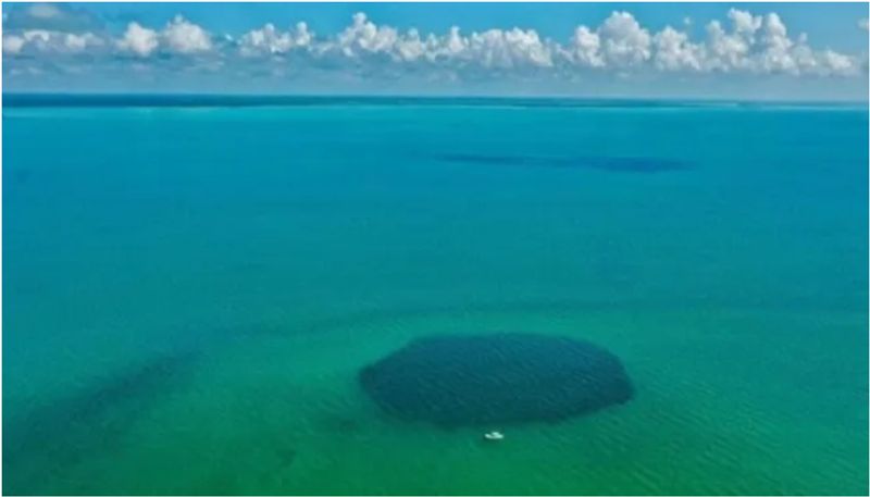 Deepest blue hole in the world discovered in Mexico 