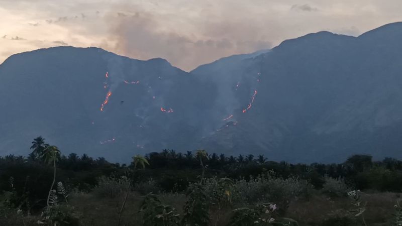 Rare trees were destroyed in a fierce forest fire in the Western Ghats near Theni vel