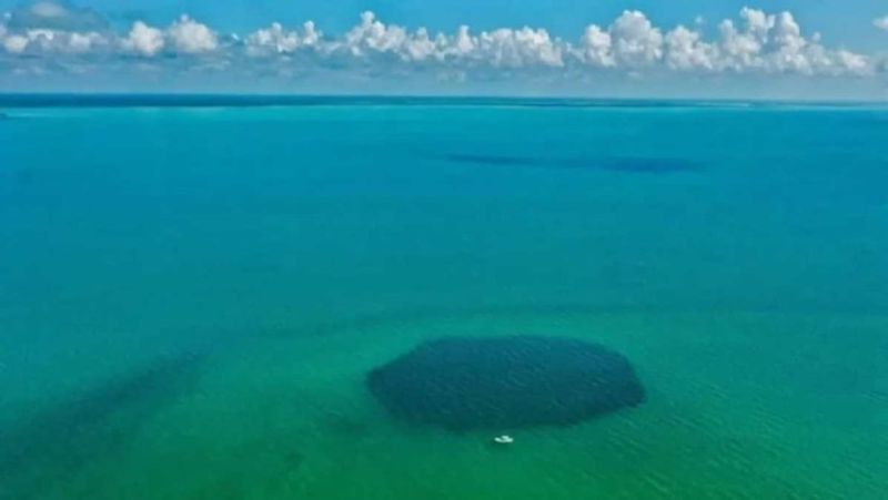 Inside world's deepest blue hole: Mexico's Taam Ja' is over 1.3k feet deep; has hidden caves & tunnels (WATCH) snt