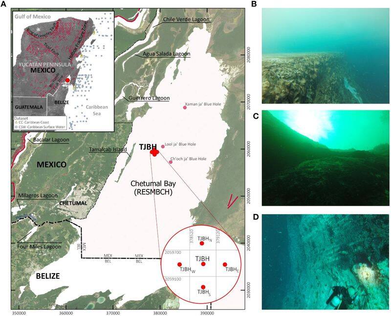 Inside world's deepest blue hole: Mexico's Taam Ja' is over 1.3k feet deep; has hidden caves & tunnels (WATCH) snt