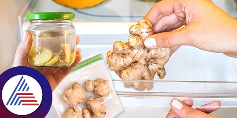 Tips And Tricks How To Store Ginger In Fridge to keep it fresh kitchen hacks roo