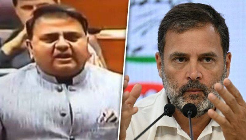 Fawad Chaudhry, who admitted Pakistan's hand in Pulwama attack, endorses Congress' Rahul Gandhi; sparks row snt