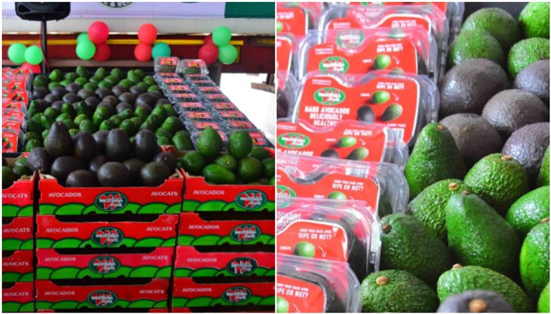 Avocado tax reduced foreign avocado in Kerala will increase health benefits of avocado here