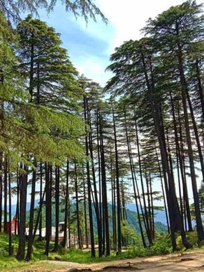 पटनीटॉप (Patnitop)