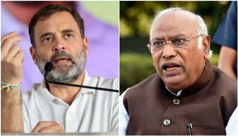 Lok Sabha Elections 2024 Rahul Gandhi is my choice for PM Says Mallikarjun Kharge gvd