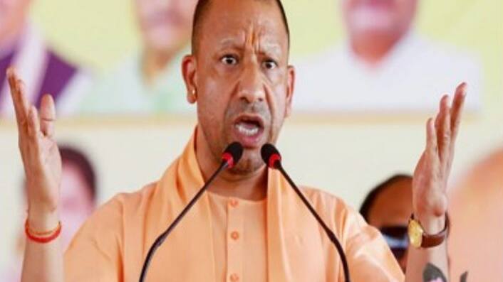 yogi 001.jpg