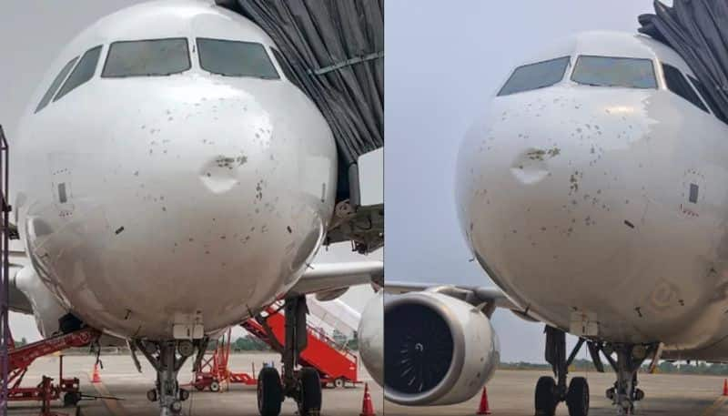 Vistara Flight Hit By Hailstorm Makes Emergency Landing In Bhubaneswar