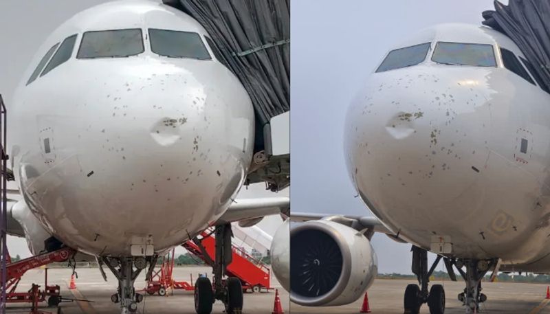 Vistara Flight Hit By Hailstorm Makes Emergency Landing In Bhubaneswar