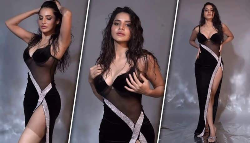 SEXY photos: Ashu Reddy flaunts her curves in BOLD black sheer corset gown; take a look RBA