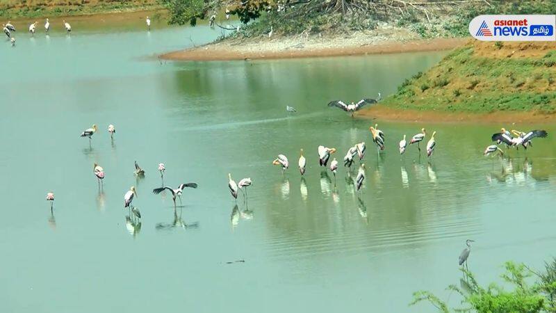 Birds are leaving Tirunelveli Koonthankulam Sanctuary due to severe drought vel