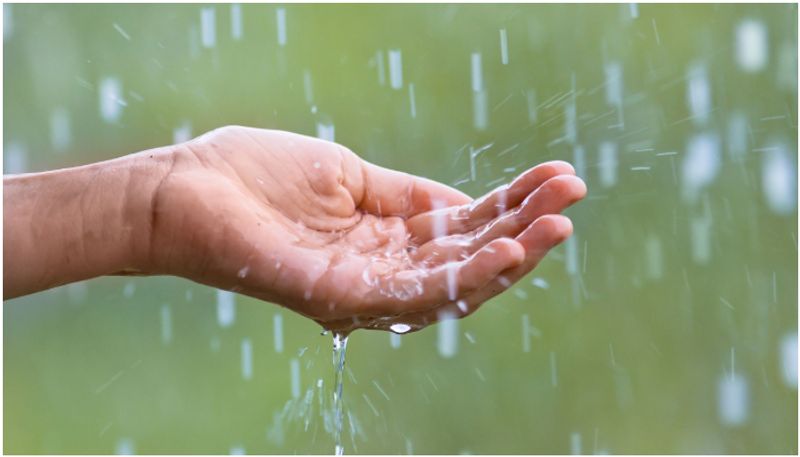 Tamil Nadu Rain Update: Chance of very heavy rain in 3 districts sgb