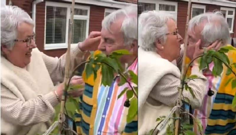 man surprised wife with cherry blossom tree on her 73rd birthday  