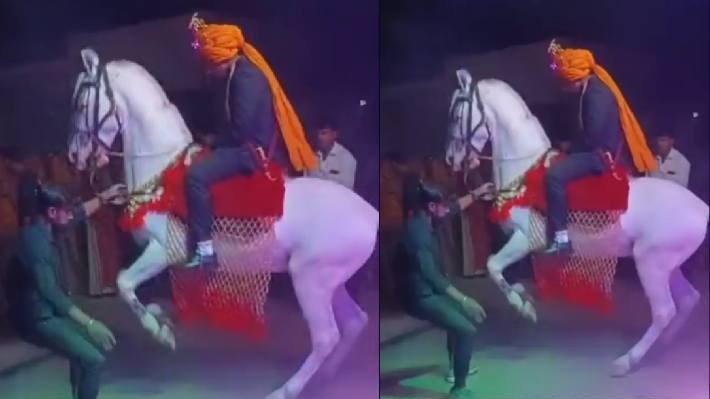 Baarat wali ghodi 