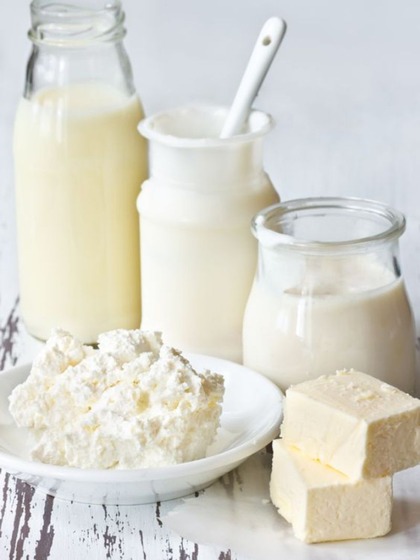 Dairy Products are an Important Part of the Indian Kitchen