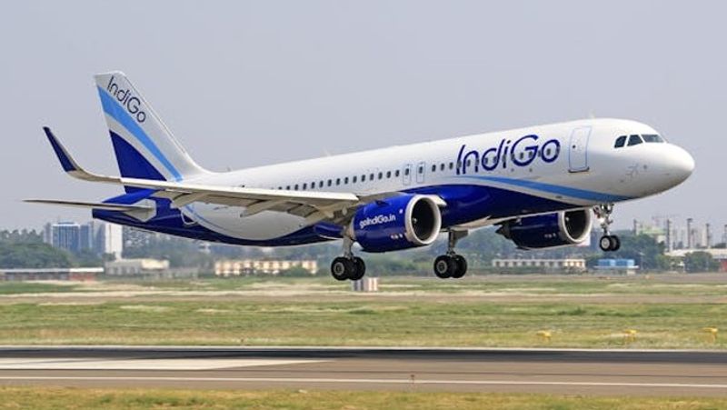 GOOD news for women travellers! IndiGo allows female flyers to choose seats next to other women for safety gcw