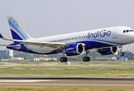 business economy companies good news Indigo employees rewarded with one and a half month bonus XSMN