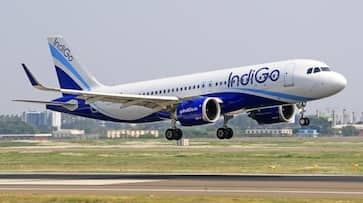 business economy companies good news Indigo employees rewarded with one and a half month bonus XSMN