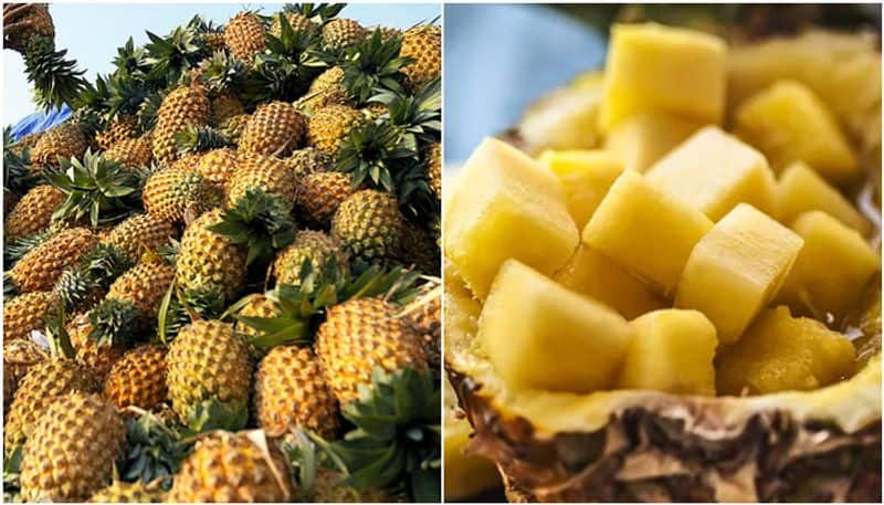 kerala pineapple price in all time record due to heat wave condition